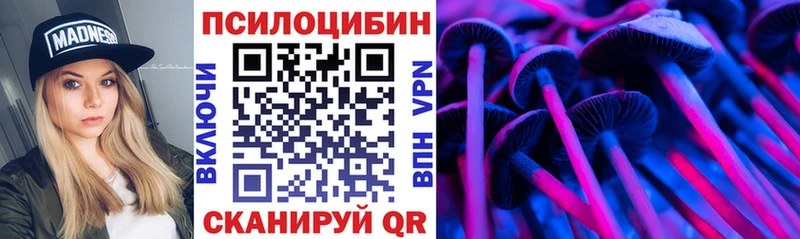 мориарти телеграм  продажа наркотиков  Аткарск  Галлюциногенные грибы Psilocybe 